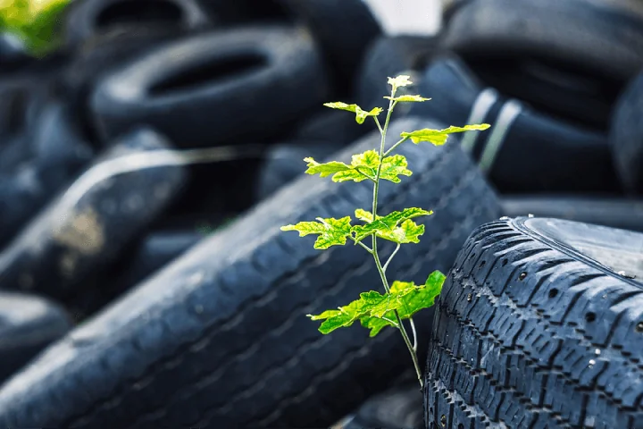 The Best Fuel-Efficient Tires for Cars and Trucks: A Quick Guide